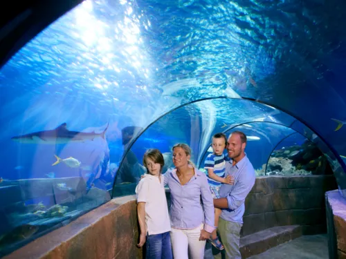 Eine Familie steht in einem gläsernen Tunnel eines Aquariums. Haie und Fische schwimmen über ihnen im blauen Wasser.